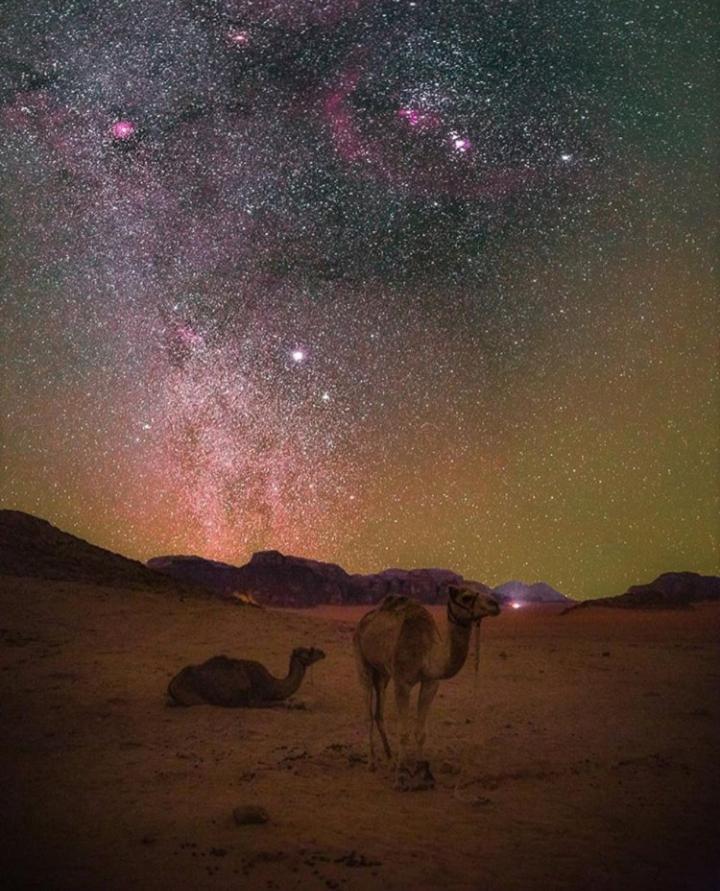 Bubble Tent & Luxury Camp Wadi Rum Exterior photo